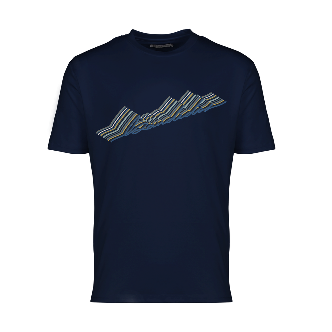 Autograph Navy Gold Script - Men's T-shirt & Swim Short Set