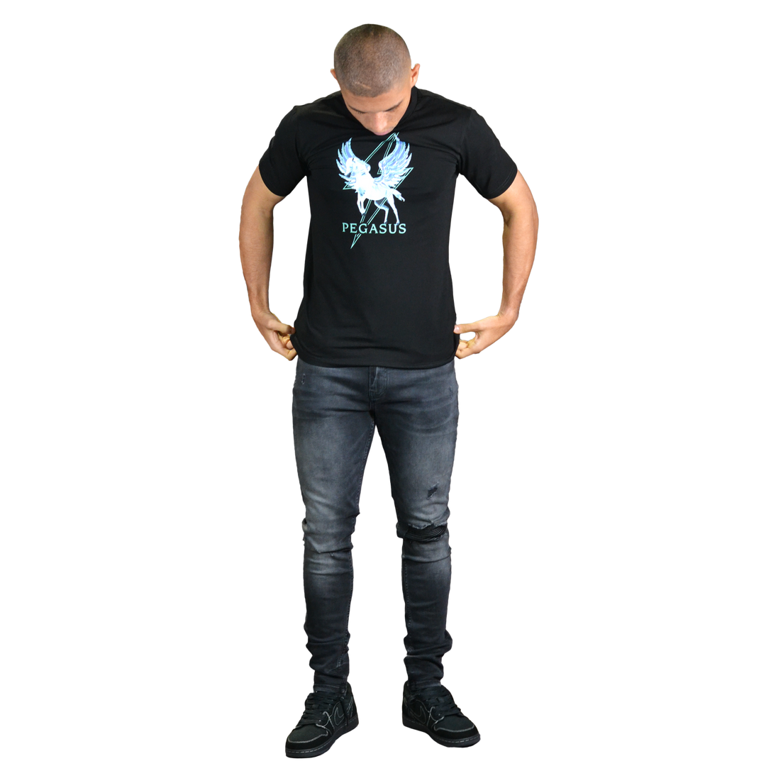 Pegasus - Men's Original T-Shirt